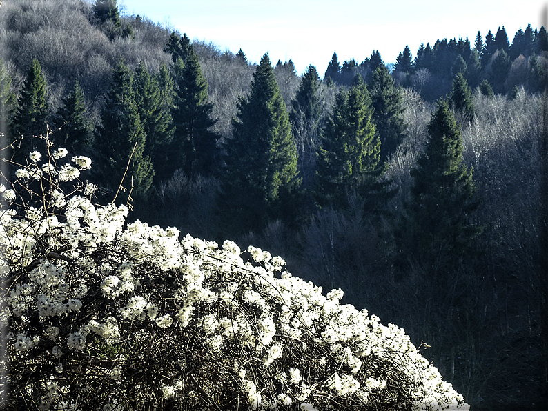 foto Da Possagno a Cima Grappa